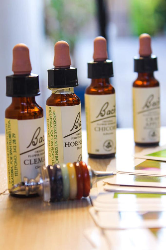 Terapia con Flores de Bach