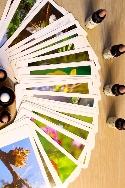 Naturopatia (incluye flores de Bach)